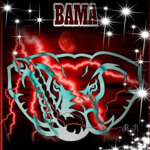 Meet your Posher, Cassandra - Picture 1 of 1